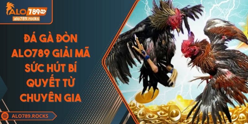 Đá Gà Đòn ALO789 Giải Mã Sức Hút Bí Quyết Từ Chuyên Gia 1 Đá Gà Đòn ALO789 Giải Mã Sức Hút Bí Quyết Từ Chuyên Gia