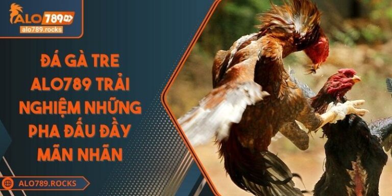Đá Gà Tre ALO789 Trải Nghiệm Những Pha Đấu Đầy Mãn Nhãn