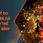 Những Lý Do Nên Chơi Đá Gà Ở ALO789 Thế Giới Cược Đỉnh Cao