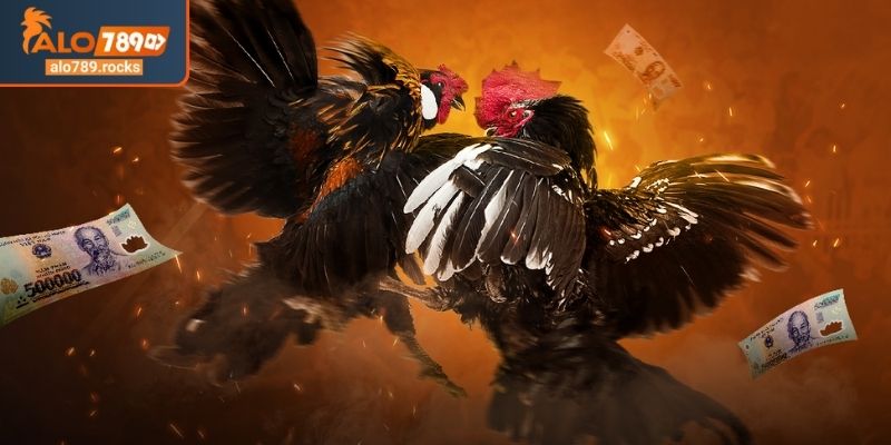 Tổng quan những lý do nên chơi đá gà ở ALO789